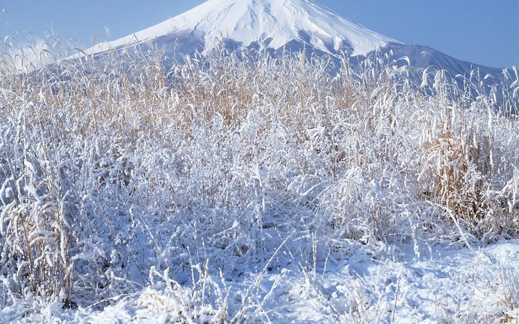 Japanese Winter Theme screenshot #10