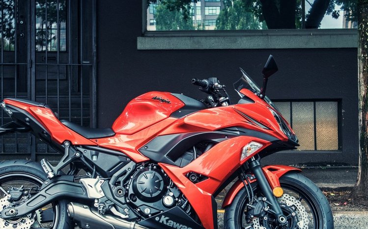 Kawasaki Ninja Theme screenshot #8