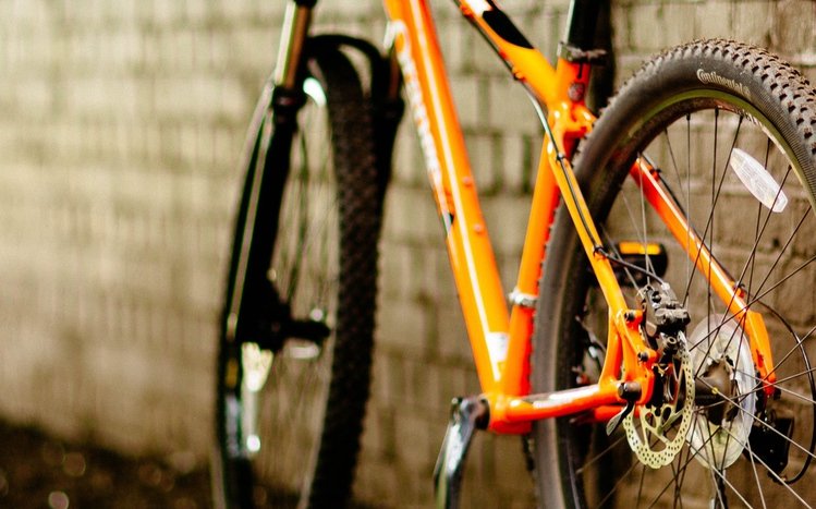 Bicycle Theme screenshot #13