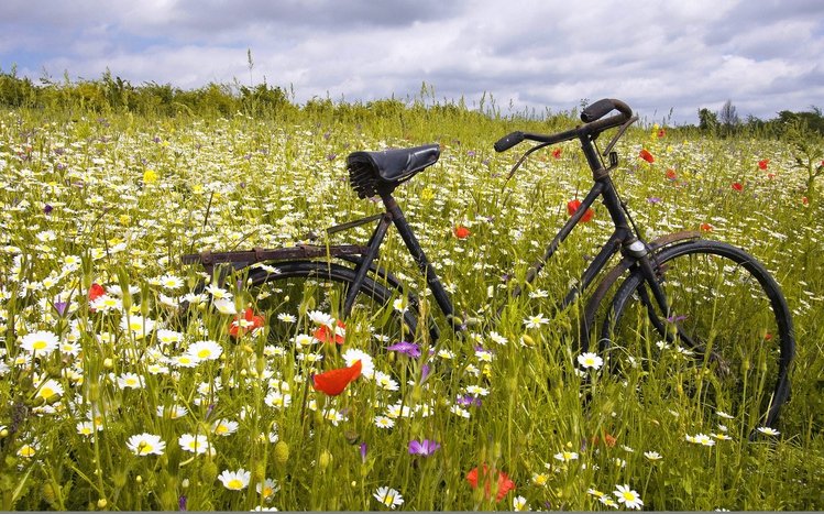 Bicycle Theme screenshot #4