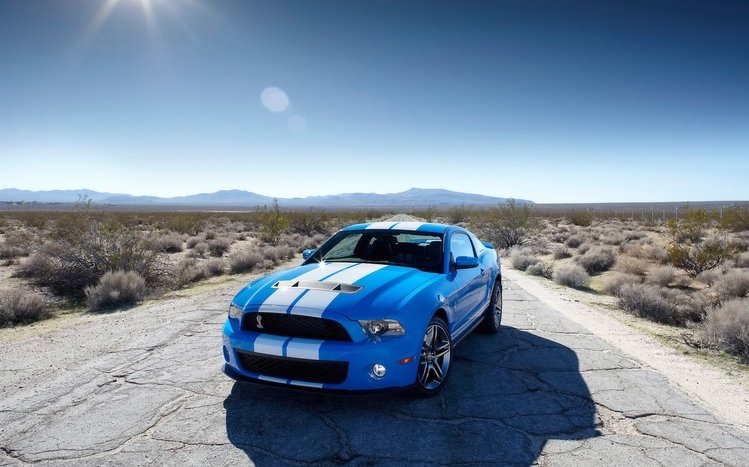 Ford Mustang Classic Theme screenshot #14