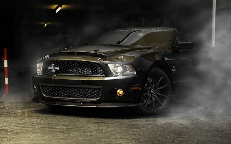 Ford Mustang Classic Theme screenshot #11