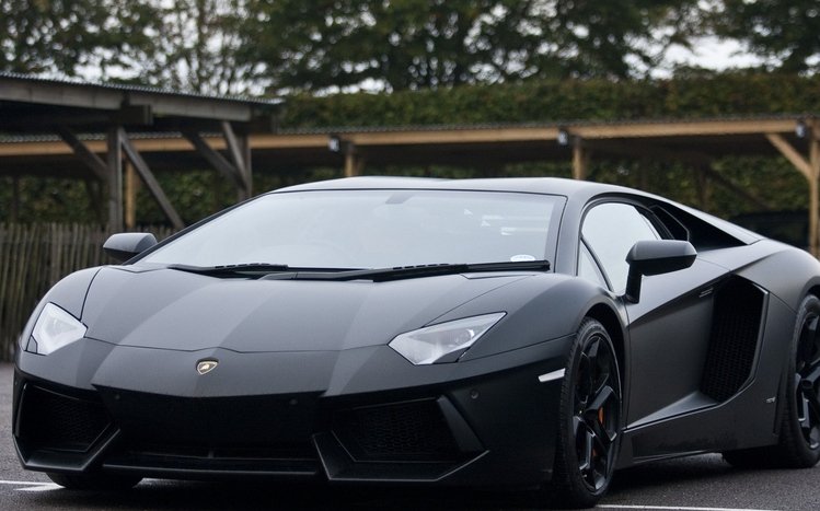 Lamborghini Black Theme screenshot #13