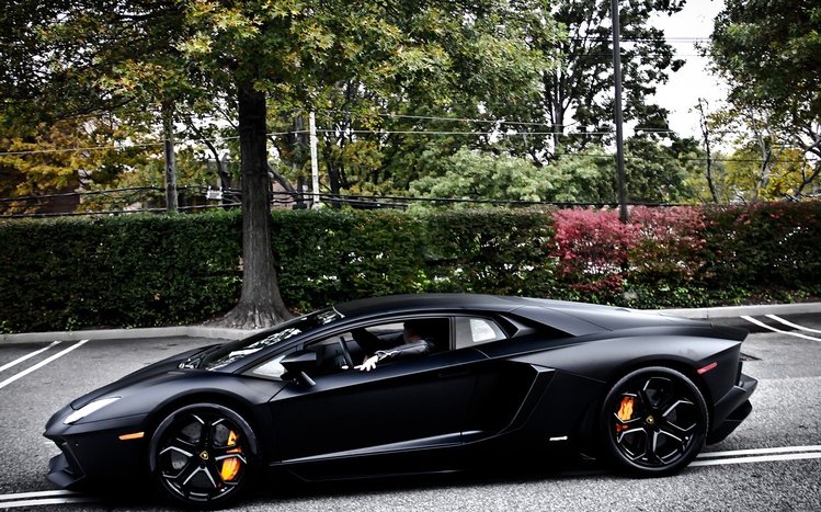 Lamborghini Black Theme screenshot #2