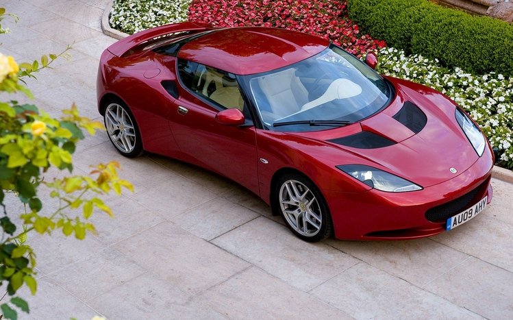 Lotus Theme screenshot #6