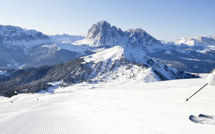 Skiing Theme screenshot #12