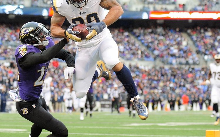 Baltimore Ravens Theme screenshot #4