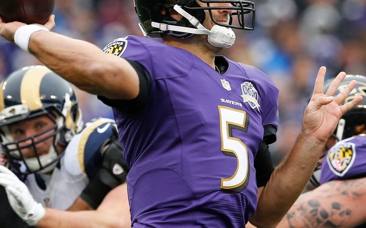 Baltimore Ravens Theme screenshot #11