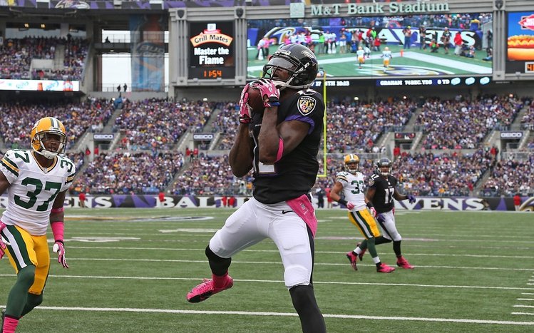 Baltimore Ravens Theme screenshot #5