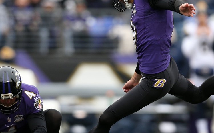 Baltimore Ravens Theme screenshot #15