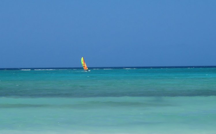 Windsurfing Theme screenshot #1