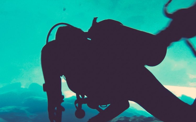 Scuba Diving Theme screenshot #7