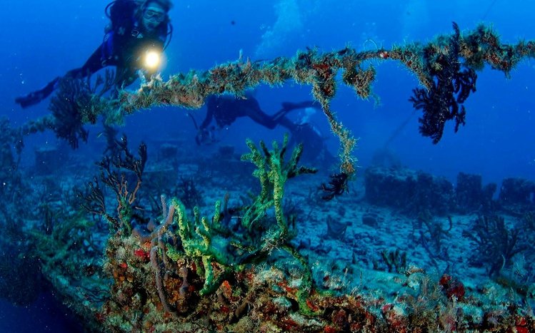 Scuba Diving Windows 11/10 Theme Scuba Diving Windows 11/10 Theme