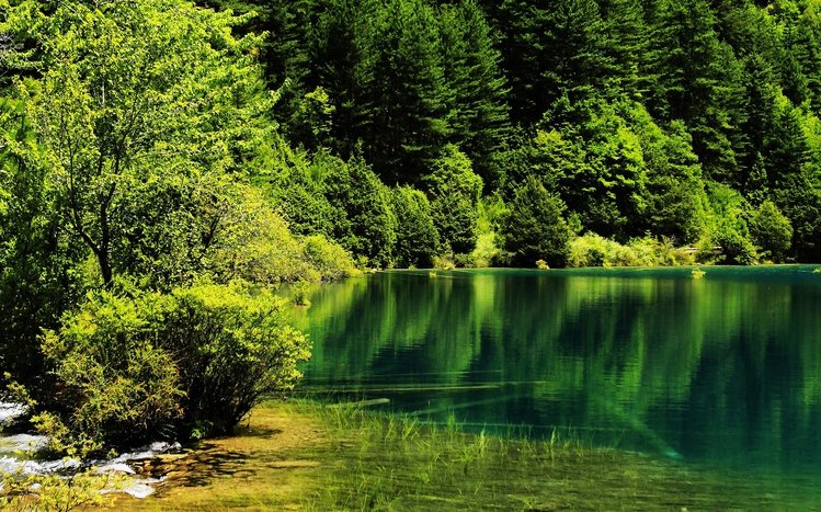 China Theme screenshot #11