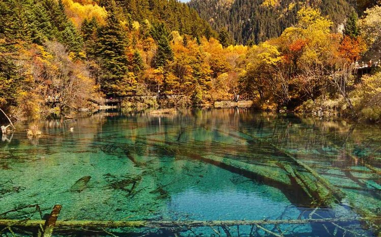 China Theme screenshot #12