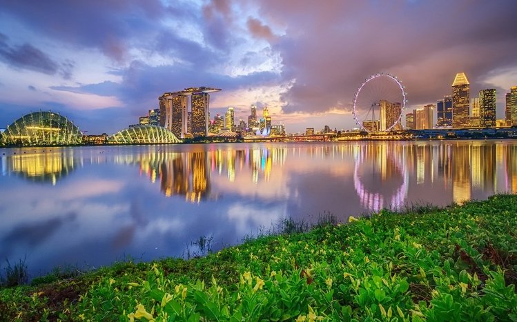 Singapore Theme screenshot #1