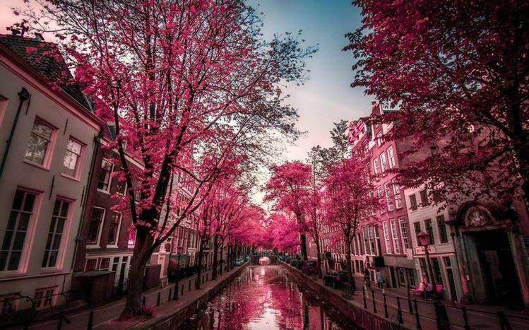 Amsterdam Theme screenshot #2