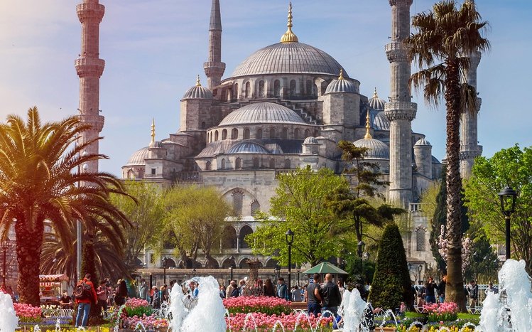 Istanbul Theme screenshot #11