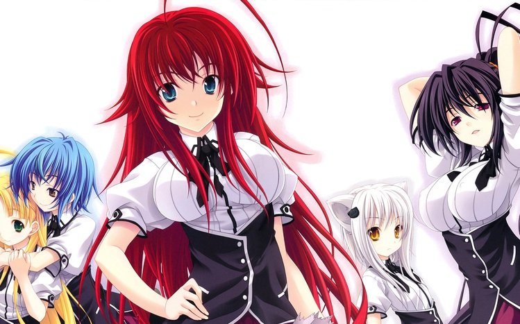 Download High School DxD Characters Wallpaper