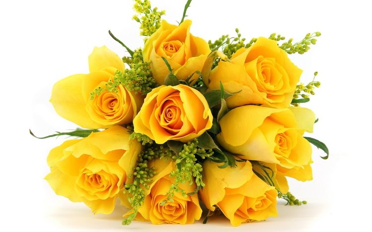 hd yellow flowers wallpapers