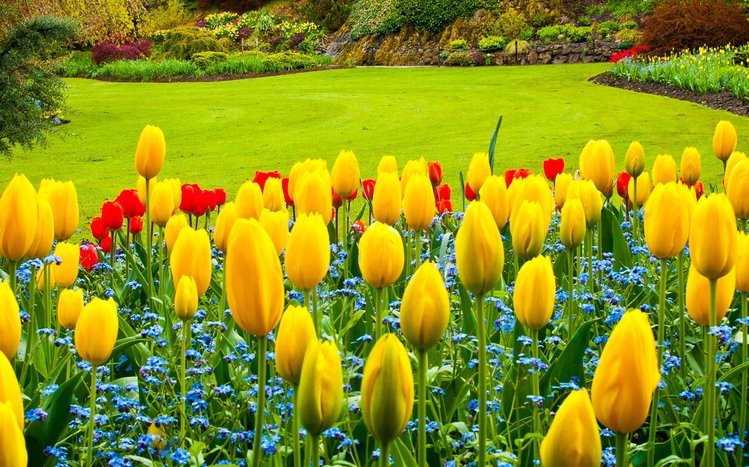 Yellow Flowers Theme screenshot #11