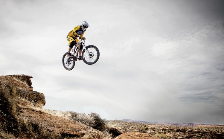 Downhill Biking Theme screenshot #11