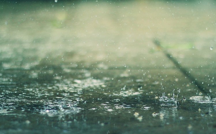 Rain in Forest Theme screenshot #14