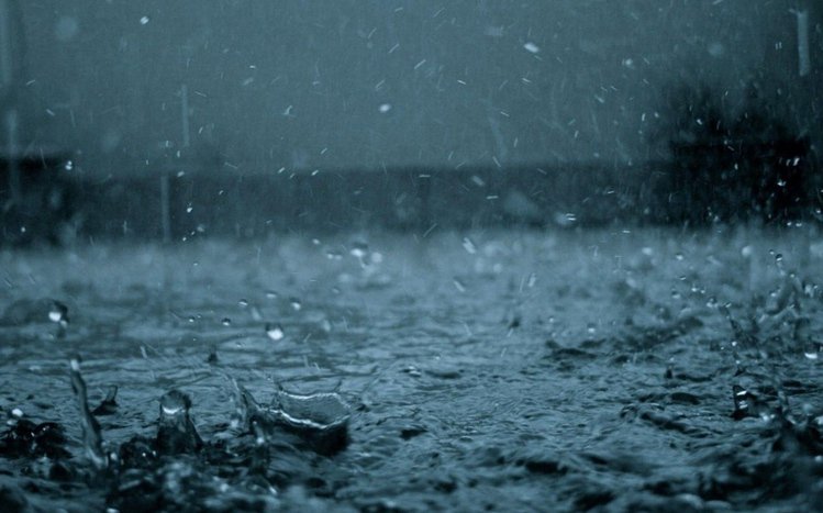 Rainy City Night Theme screenshot #5