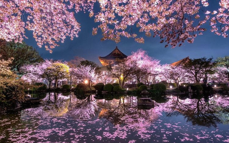 Reflection Theme screenshot #15