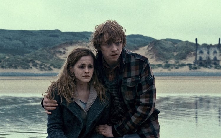 Hermione Granger Theme screenshot #9