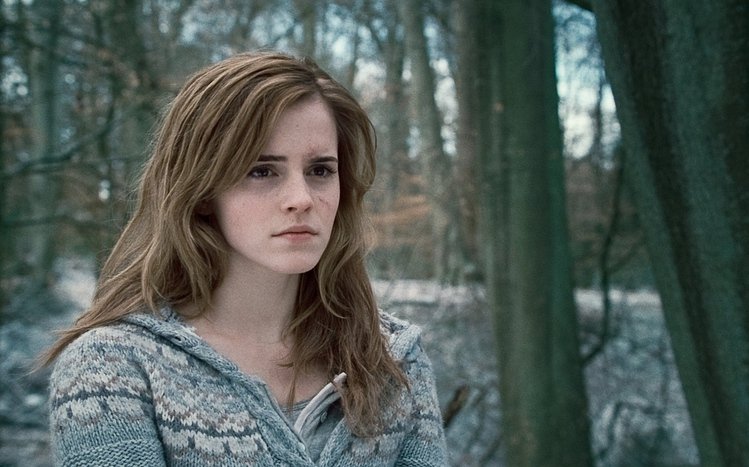 Hermione Granger Theme screenshot #10