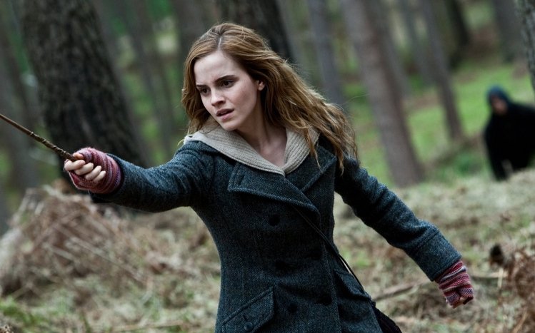 Hermione Granger Theme screenshot #11