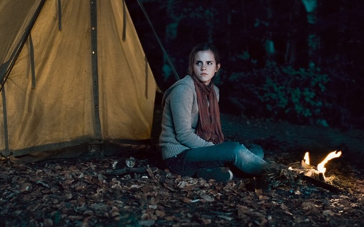 Hermione Granger Theme screenshot #8