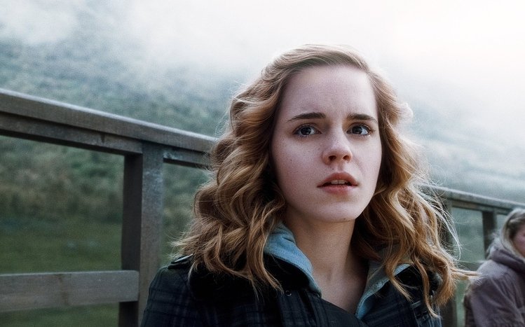 Hermione Granger Theme screenshot #7