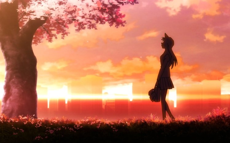 Detective Conan Theme screenshot #10