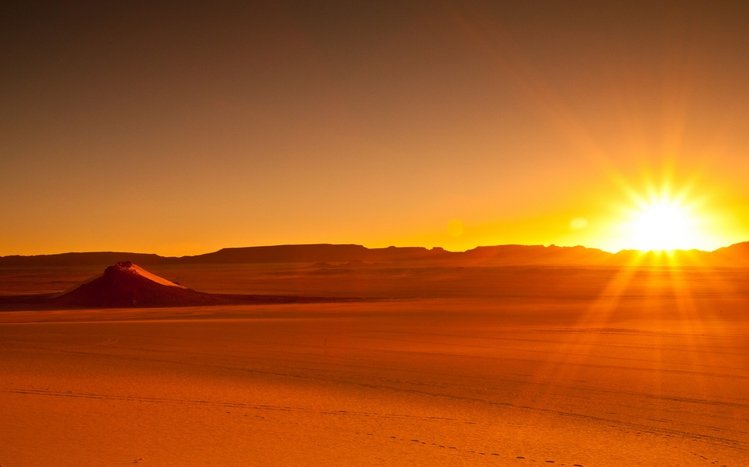 Africa  Theme screenshot #8