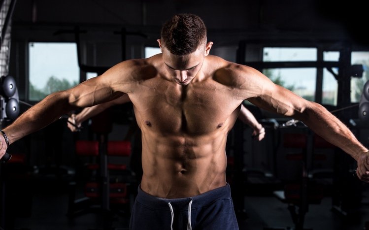 Gym Theme screenshot #8