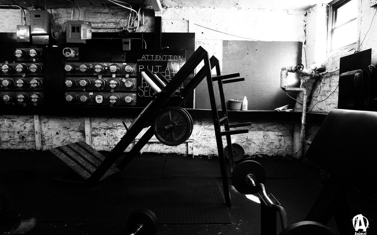 Gym Theme screenshot #3