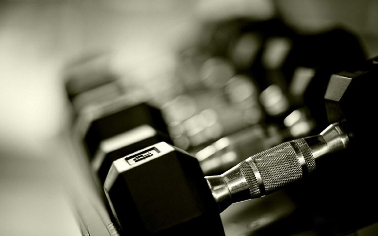 Gym Theme screenshot #2