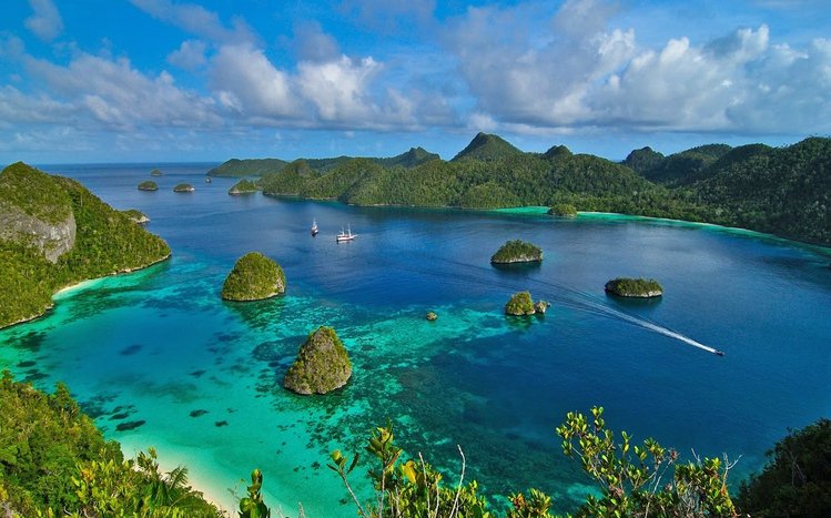 Indonesia Theme screenshot #13