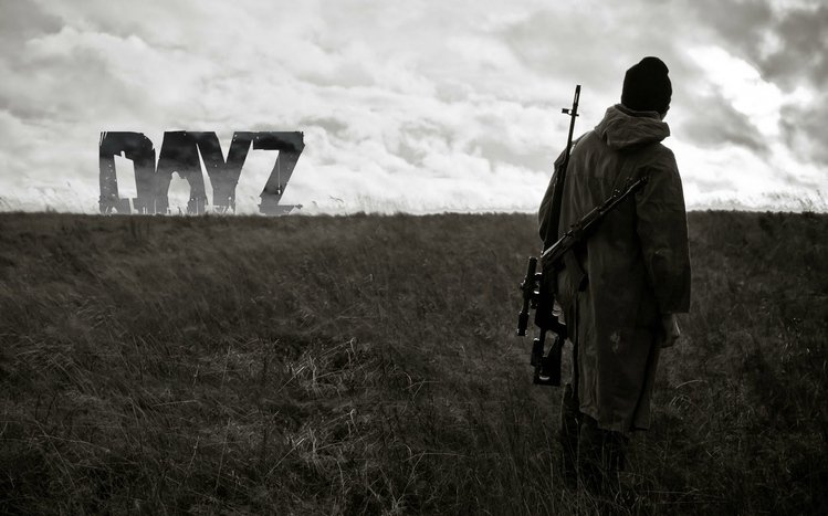 DayZ Theme screenshot #3