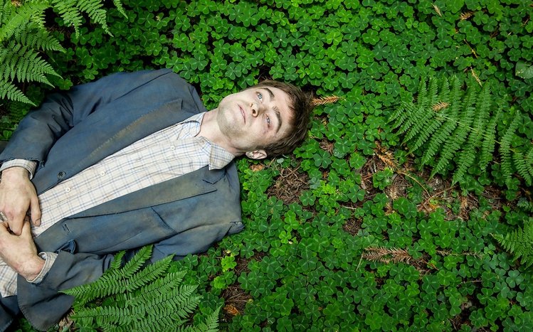 Daniel Radcliffe Theme screenshot #9