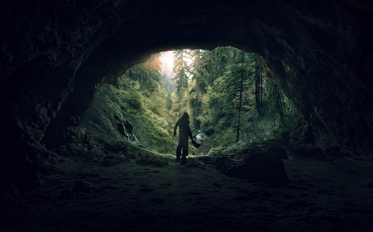 See Theme screenshot #14