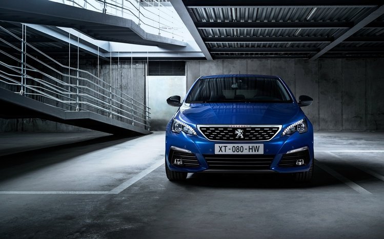 Peugeot Theme screenshot #8