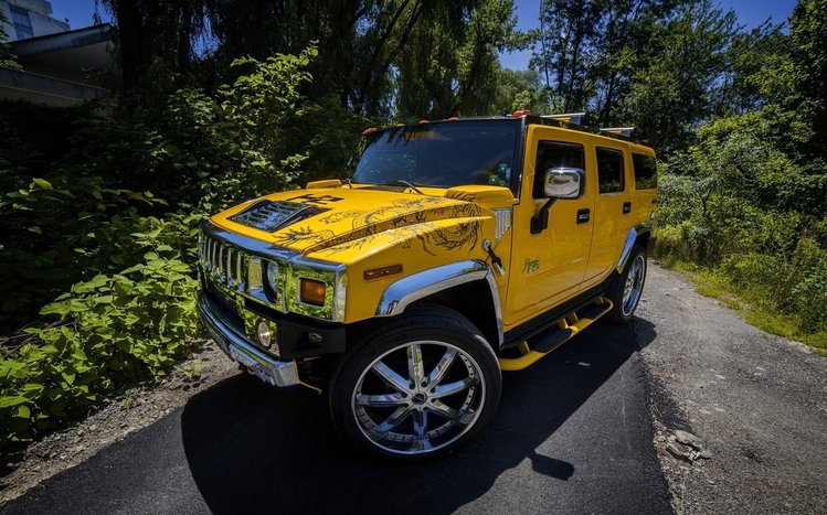 Hummer Theme screenshot #12