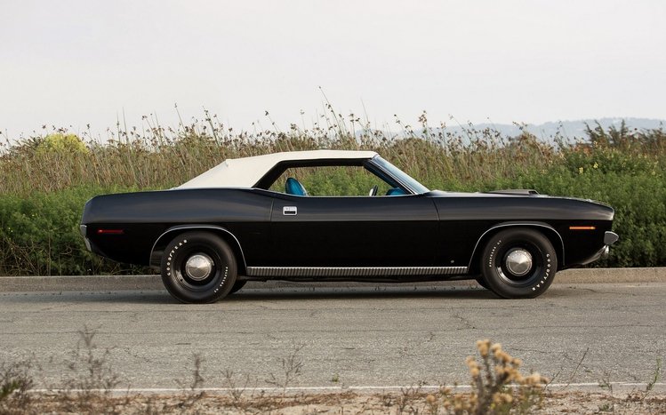 Plymouth Theme screenshot #6