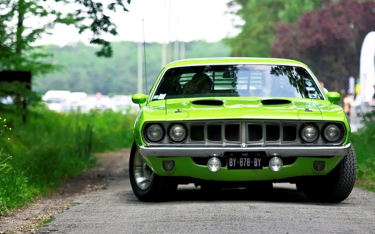 Plymouth Theme screenshot #1