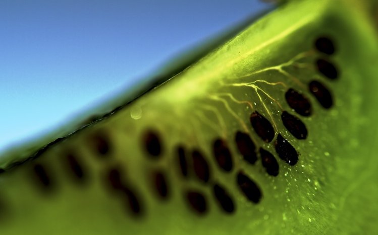 Kiwi Theme screenshot #1