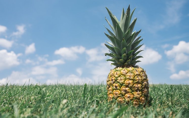 Pineapple Theme screenshot #12