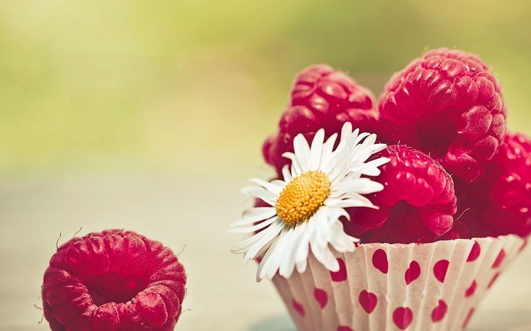 Raspberry Theme screenshot #4